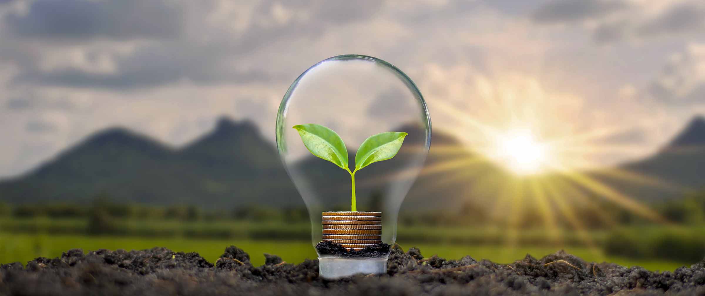 Image of a lightbulb with a seedling growing with a mountainous background